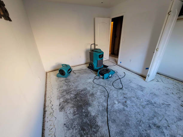 Best Fire Damage Restoration  in St Vincent College, PA