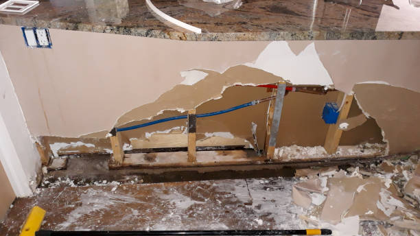 Best Sewage cleanup and water damage restoration  in St Vincent College, PA