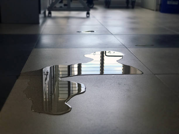 Best Basement water damage restoration  in St Vincent College, PA