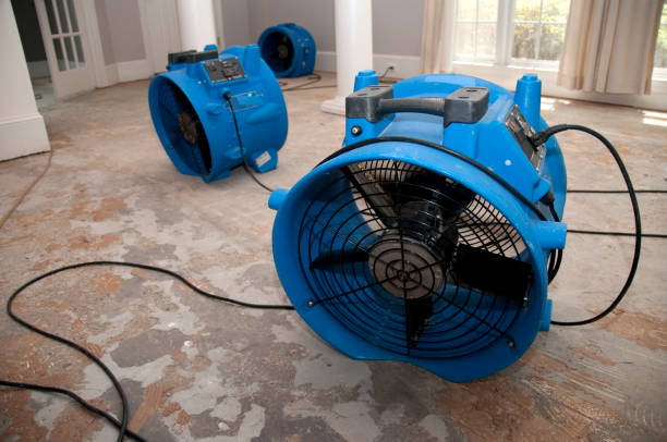 Sewage cleanup and water damage restoration in St Vincent College, PA