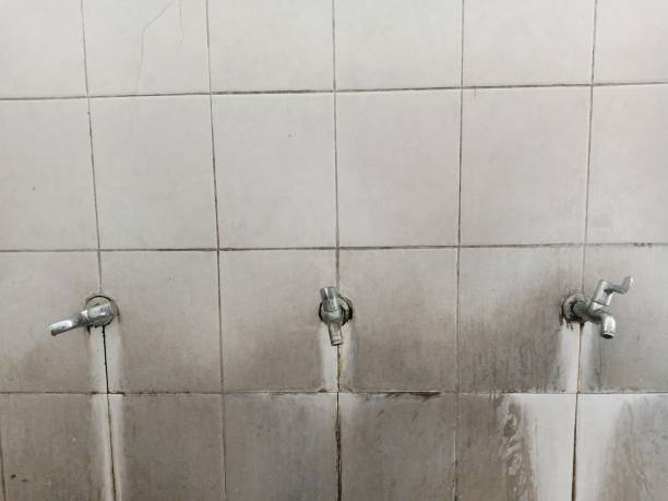 Best Flood restoration services  in St Vincent College, PA