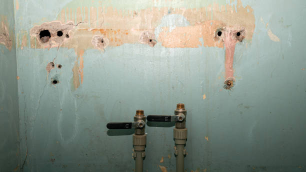 Best Sewage cleanup and water damage restoration  in St Vincent College, PA