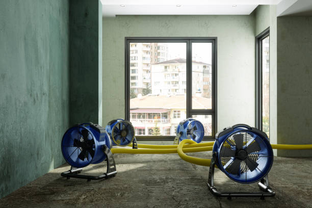 Best 24/7 water damage repair  in St Vincent College, PA