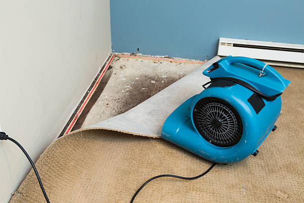 Best Water damage contractors near me  in St Vincent College, PA